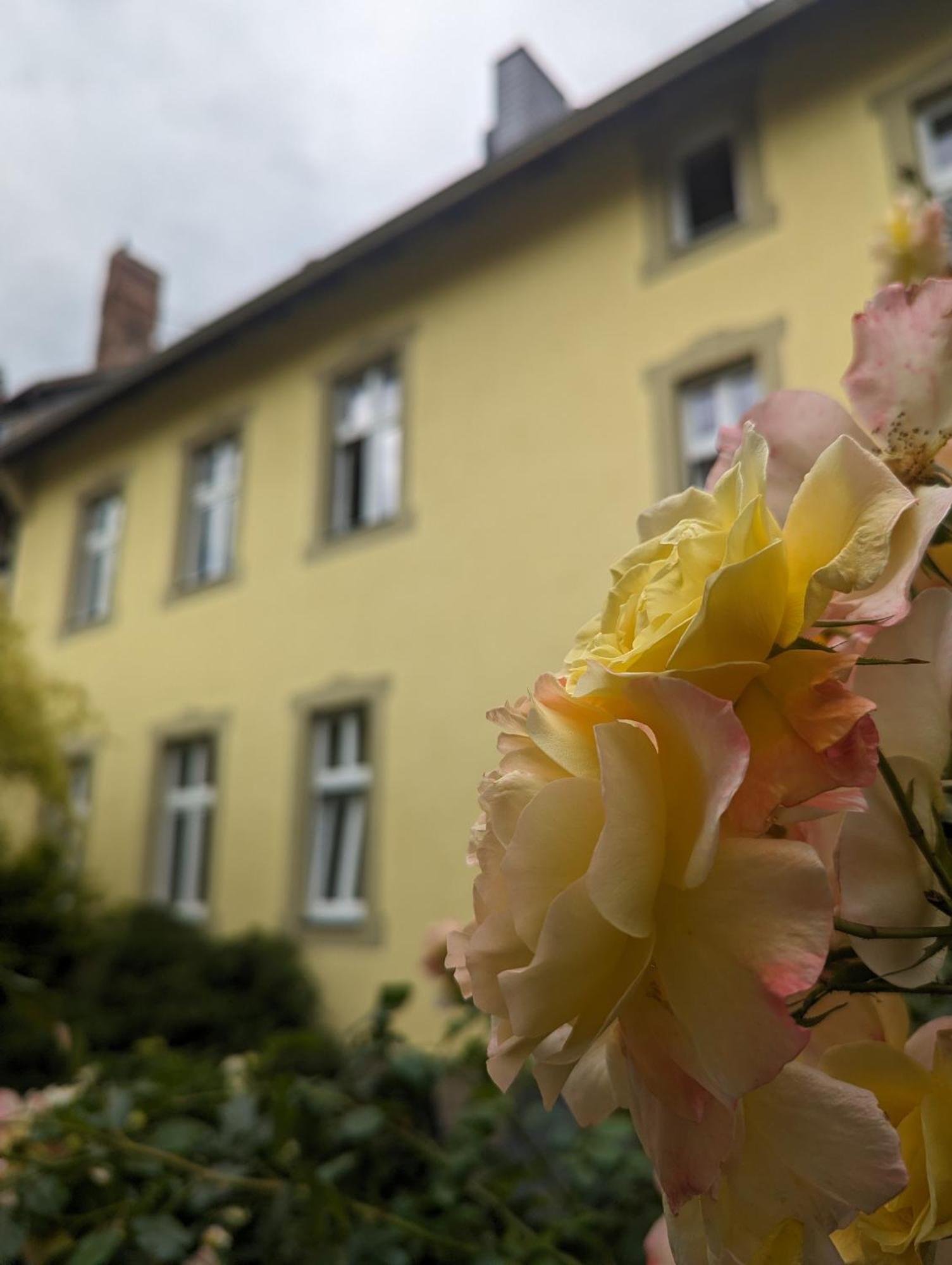 Atelier Wolkenschloss Apartment Wernigerode